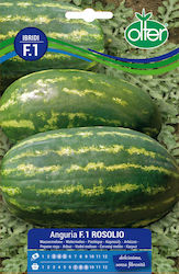 Olter Samen Wassermelone