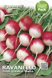 Sgaravatti Seeds Cabbage