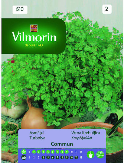 Vilmorin Семена Кервел 1гр