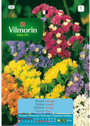 Vilmorin Seeds Statice Polychrome