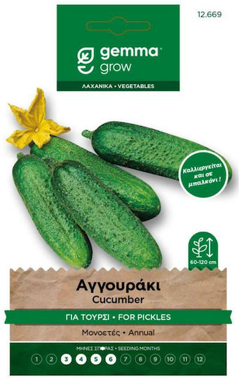 Hortus Sementi Σπόροι Αγγουριού Τουρσί