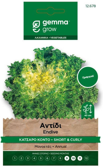 Hortus Sementi Σπόροι Αντίδι Κατσαρό Κοντό
