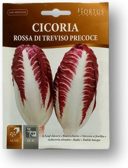 Hortus Sementi Semințe