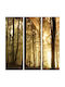 Threefold Painting on Canvas 30x90cm