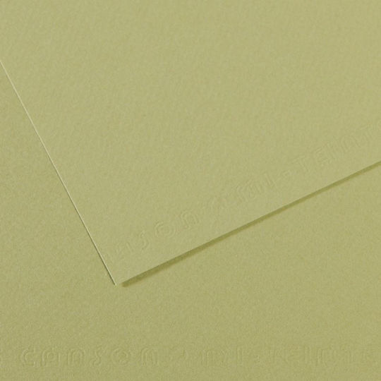 Canson Картон Canson Mi-Teintes 50x65 см Зелен