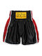 Benlee Brockway Men's Kick/Thai Boxing Shorts Black