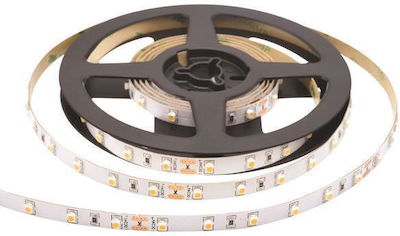 Eurolamp LED Strip Power Supply 12V with Natural White Light Length 10m