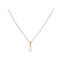 LifeLikes Necklace with design Tear from Gold-plated Steel with Zircon