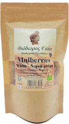 Viodoros Gaia Bio-Maulbeeren ohne Zucker 125gr Viodoros Gaia Bio-Maulbeeren ohne Zucker 125gr