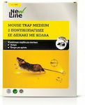 NEW LINE Mouse Trap Two mouse traps with glue and special bait in a 13x15cm tray. High adhesive capacity and does not dry out - Medium