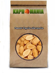 Karpomania Peanuts Peanuts Roasted Salted 250gr K- 8893 -a