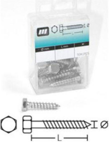 Amtech Coach Screw Hexagon Galvanized with Diameter M6 and Length 80mm 12pcs in Case