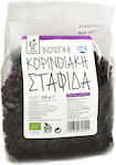 Βιοκαρπός Organic Raisin 200gr 11200503