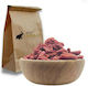 Spices Bazaar Trockenfrüchte & Nüsse 100gr