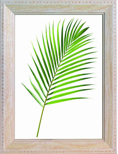 Far Wooden Wall Photo Frame With White Frame