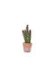 Artificial Plant in Small Pot Succulent Plant 1pcs