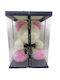 Bear of Artificial Roses Pink 33cm in Box Romvous