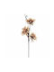 Artificial Decorative Branch Dahlia Brown 106cm 1pcs