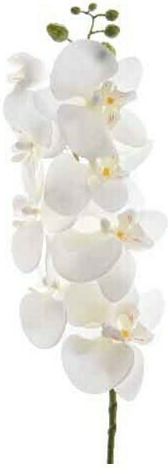 Artificial Decorative Orchid Branch White Batsarisakis