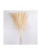 Artificial Decorative Branch Pampas Grass Beige 120cm 1pcs