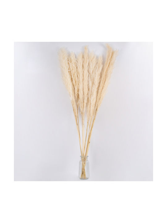 Ramură Decorativă Artificială Pampas Grass Beige 1buc