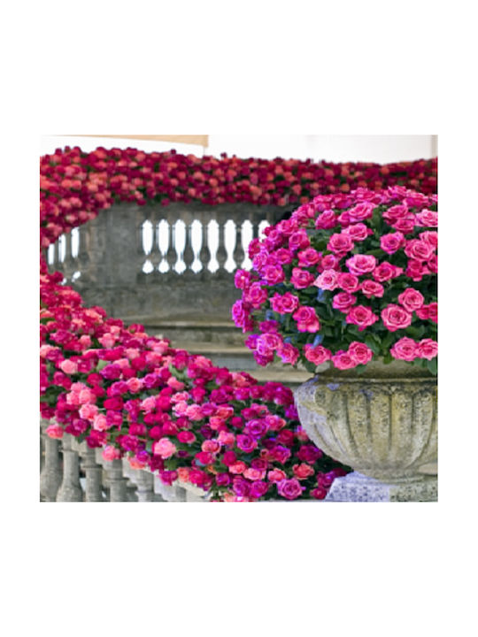 Hanging Artificial Plant Rose Pink 100cm 1pcs