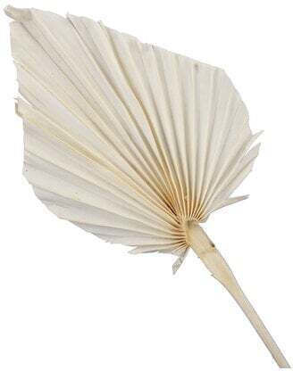 Künstlicher Dekorativer Palme Zweigstelle Weiß ED Collection