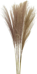 Τεχνητό Διακοσμητικό Κλαδί Pampas grass