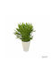Plantă Artificială în Ghiveci Mic Green 25cm Ibergarden