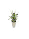 Plantă Artificială în Ghiveci Mic Purple 30cm Ibergarden