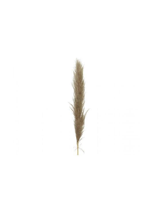 Artificial Decorative Branch Pampas Grass Brown 12cm Interni Oggi