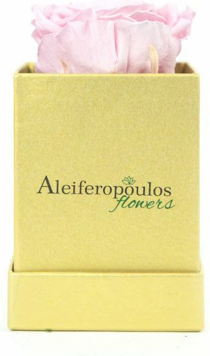 Παντοτινό Τριαντάφυλλο Ροζ σε Κουτί Aleiferopoulos Flowers