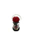Ewige Rose Rot 25cm in Yala Aleiferopoulos Flowers
