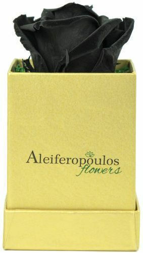 Ewige Rose Schwarz in Box Aleiferopoulos Flowers