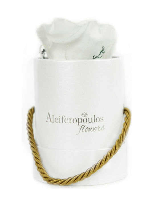 Eternal Rose White in Box Aleiferopoulos Flowers