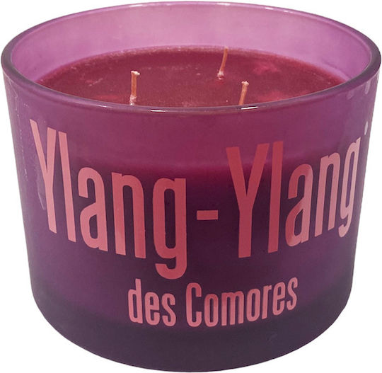 Gala Αρωματικό σε Βάζο Ylang Ylang Gala Αρωματικό σε Βάζο Ylang Ylang