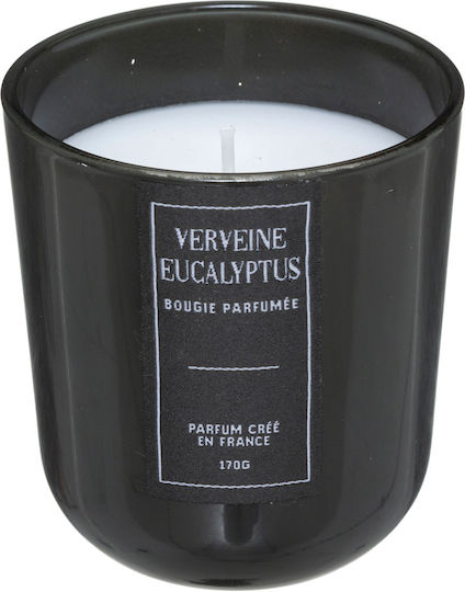 Atmosphere Αρωματικό σε Βάζο Eucalyptus