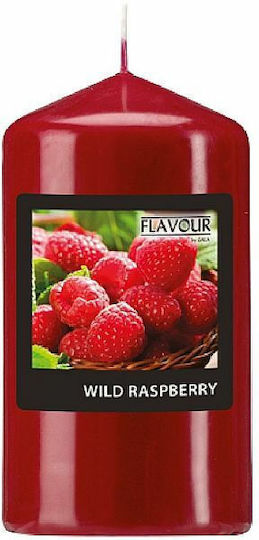 Gala Αρωματικό Κορμός RASPBERRY