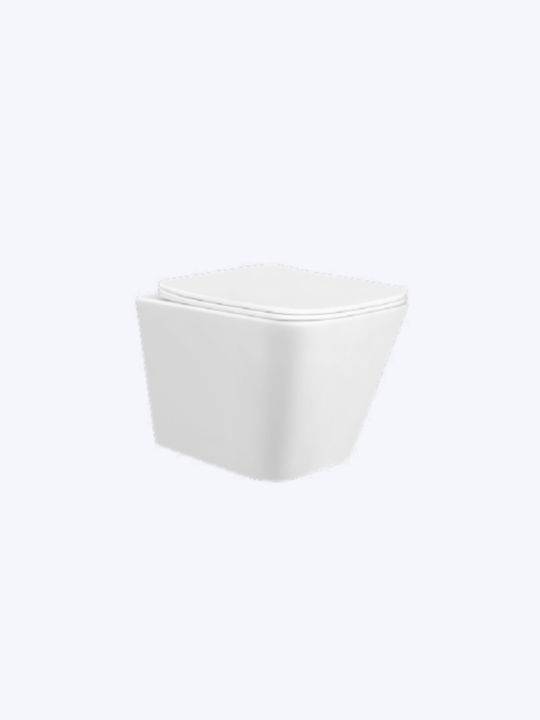 Amco Wall-Mounted Toilet that Includes Soft Close Cover White