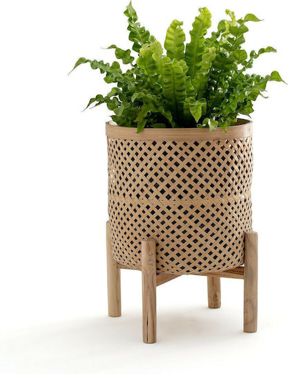 La Redoute Interieurs Blumentopf Korbweide Beige