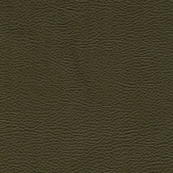 JGS S.A. Țesătură pentru Mobilier Piele ecologică 140x100buc Verde