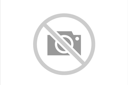 Aufhängung Arm für Lexus RX Nissan Navara / NP300 54500-4KH1A