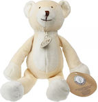 Synchronia Plush Bear 27 cm