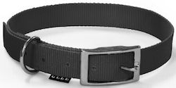 Glee Dog Leash/Guide for Dogs Strap in Black Color