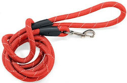 Glee Dog Leash/Lead Strap in Red color