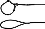 Flamingo Dog Leash/Lead Training Strap in Black color