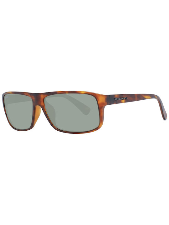 Serengeti Sunglasses with Brown Tartaruga Acetate Frame 9053