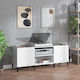 vidaXL Hi-Fi Furniture White 38x121x48cm