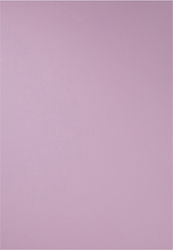 Carton Canson 50x70cm. Violet Carton Canson 50x70cm. Violet