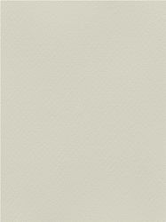 Favini Karton 70x100cm Grau